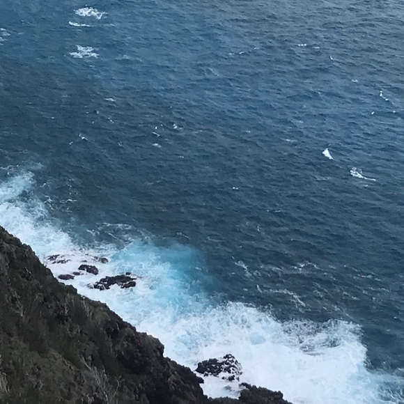 Meet your Posher, Hanna - Picture 1 of 1